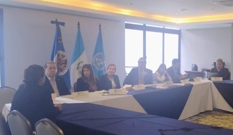 Misión especial de la OEA se reúne con presidenta del CANG