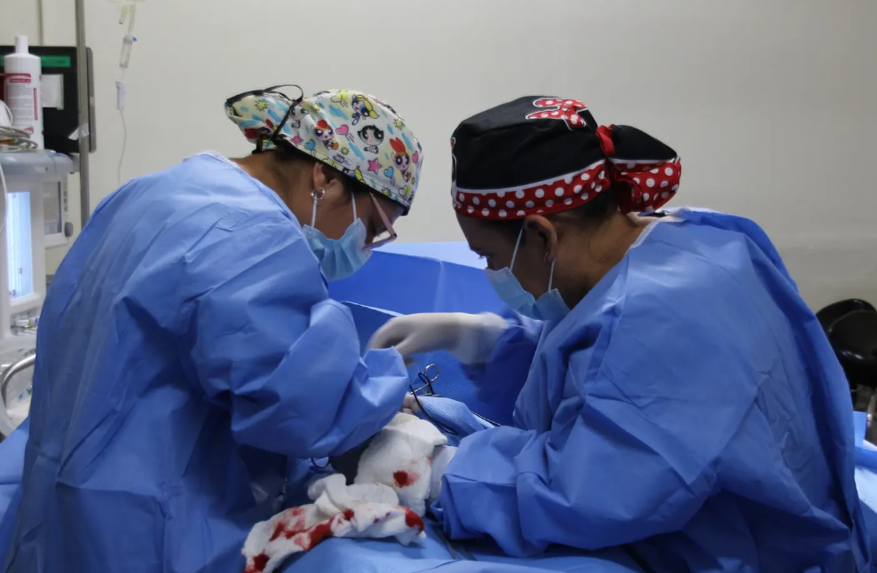 Hospital Nacional de Amatitlán practica más de 90 cirugías Pomeroy