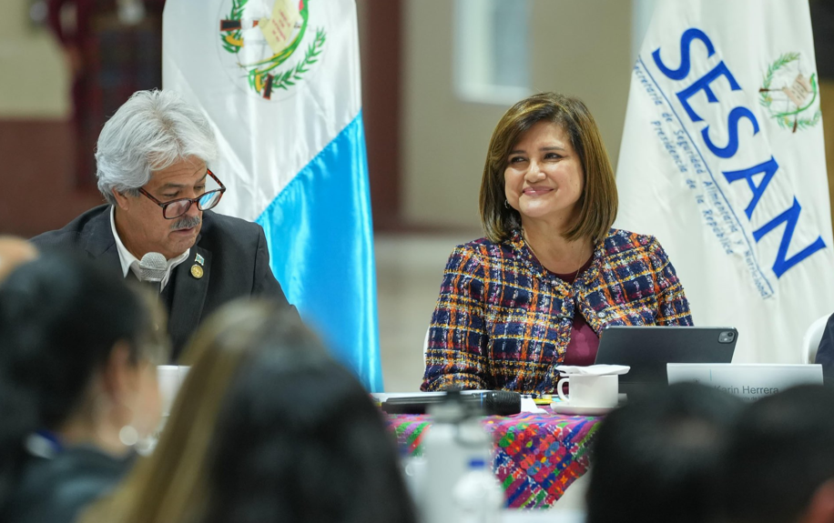 Vicepresidenta Karin Herrera impulsa creación de estructuras locales y nuevas acciones durante el Conasan. (Foto: vicepresidencia)