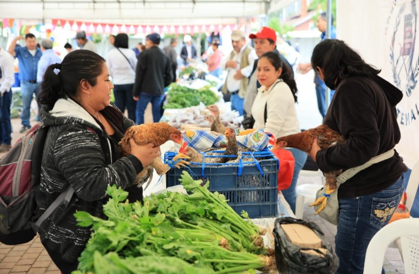 Durante la feria del agricultor, los asistentes podrán encontrar una amplia oferta de productos frescos como verduras, frutas y legumbres recién cosechadas. / Foto: MAGA