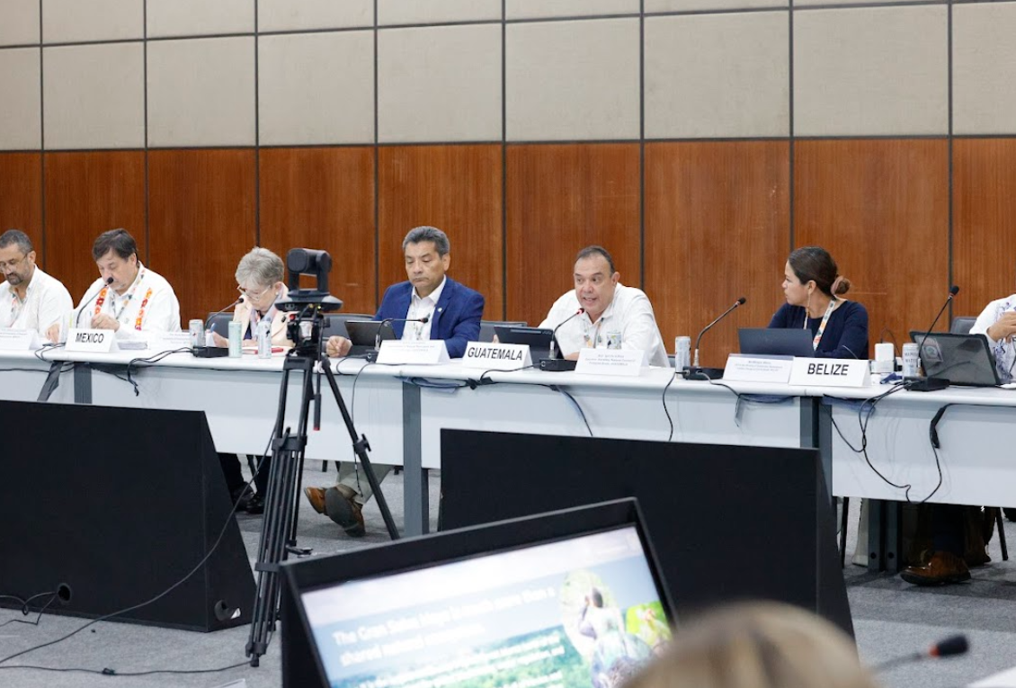 Guatemala participó en el lanzamiento del Corredor Biocultural de la Gran Selva Maya durante la COP30. (Foto: Conap)