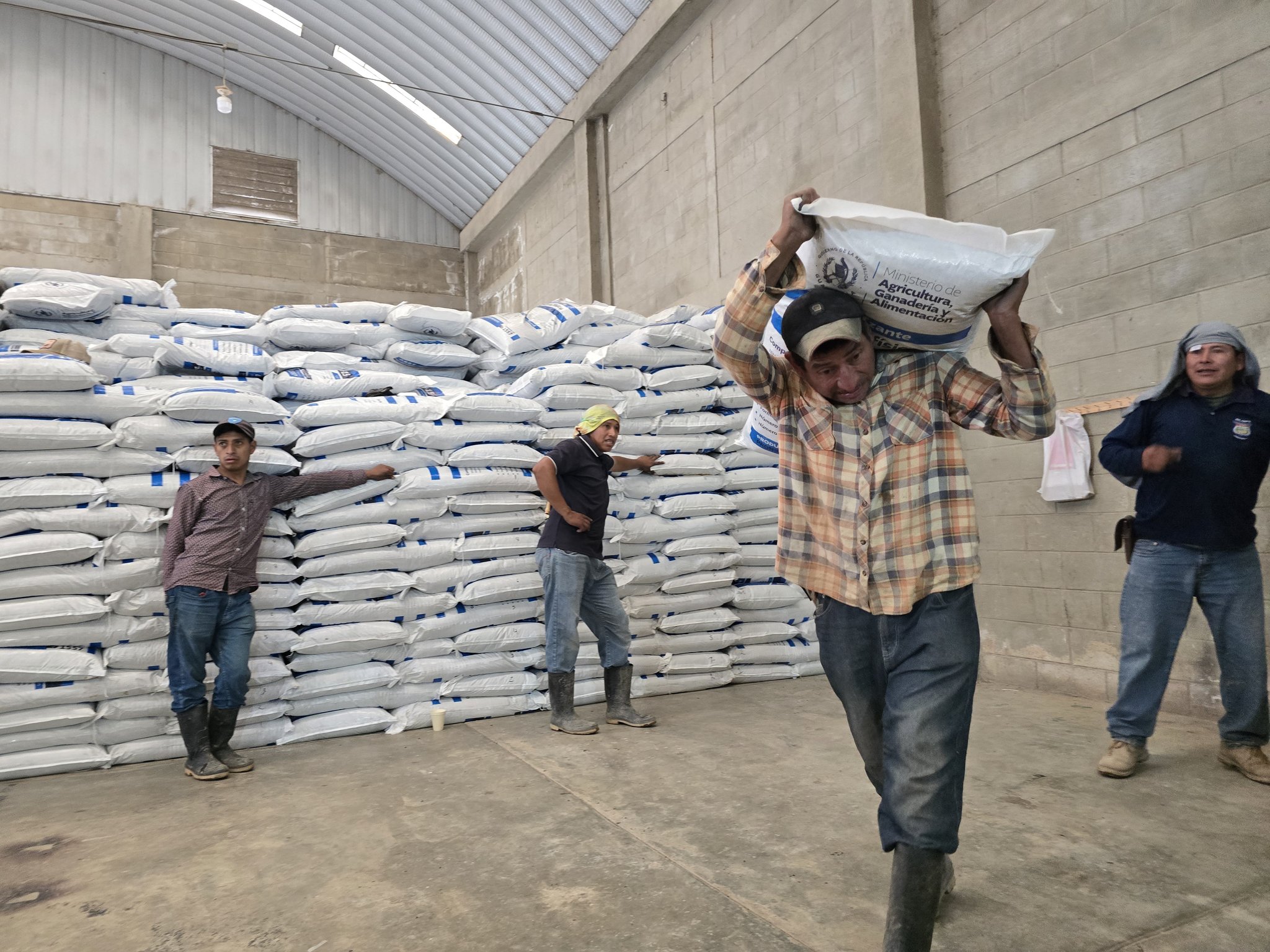 Supervisan la entrega de fertilizantes en Quezaltepeque, Camotán y Olopa