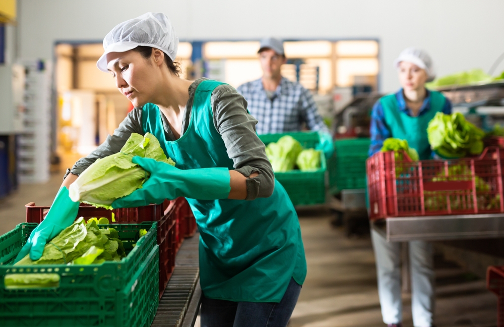 BCIE canaliza 37.6 millones de dólares para fortalecer al sector empresarial, Mipymes y agricultores en Guatemala