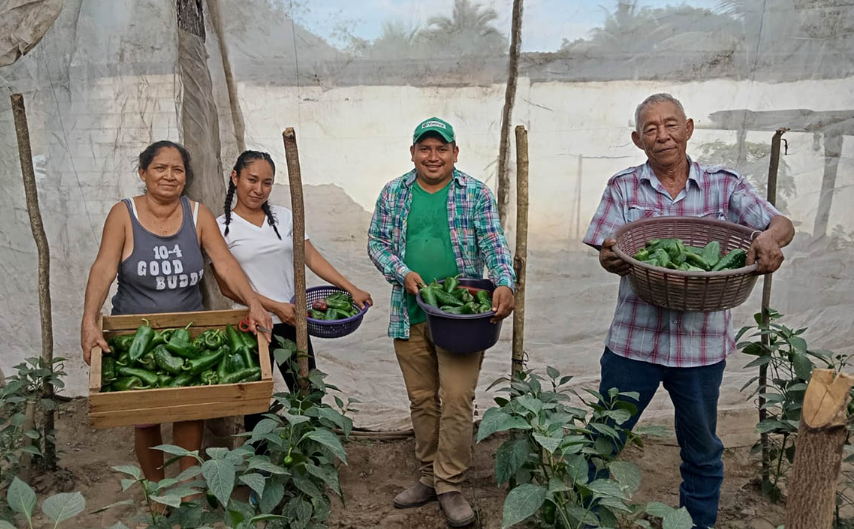 MAGA reporta 91 % de aprobación en créditos para pequeños y medianos productores