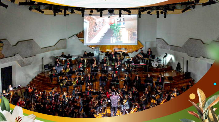 La Orquesta Sinfónica Nacional presentará Home Alone Sinfónico./Foto: MCD.
