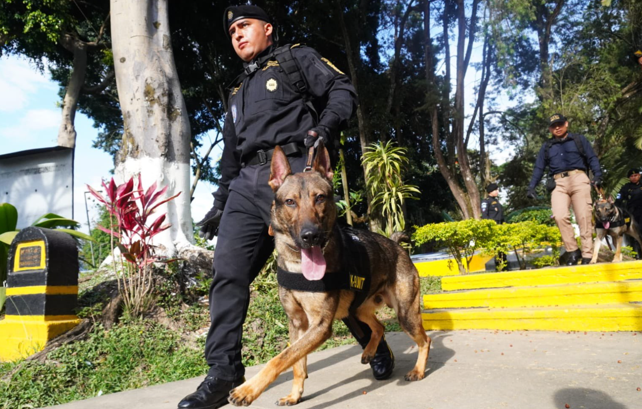 Graduación de binomios K-9 fortalece lucha regional contra el crimen organizado