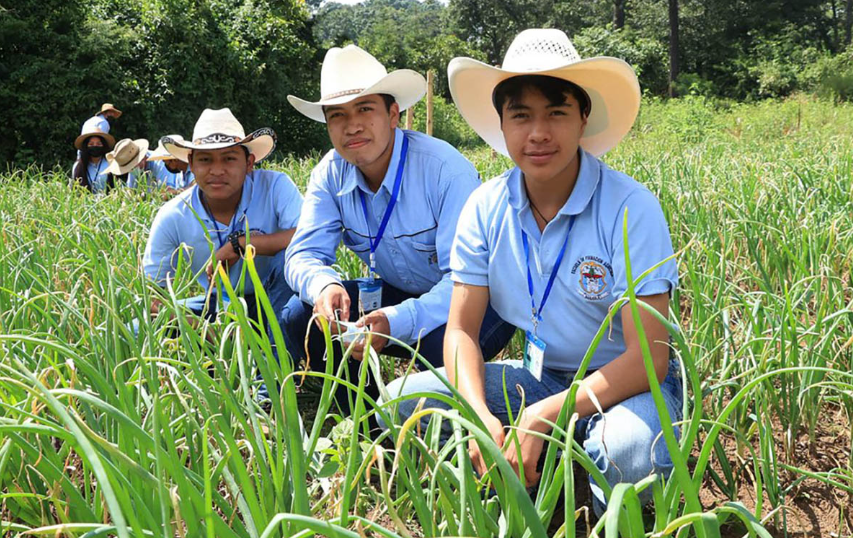 Más de mil jóvenes asistieron a escuelas de formación agrícola del MAGA en 2025