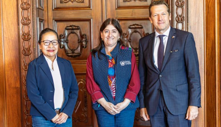 Alemania será el país invitado de honor en Filgua 2026. / Foto: MCD.