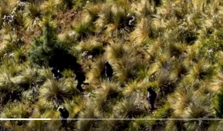 Agentes de la PNC y Ejército en la zona del ataque. / Foto: Video del Gobierno de Guatemala