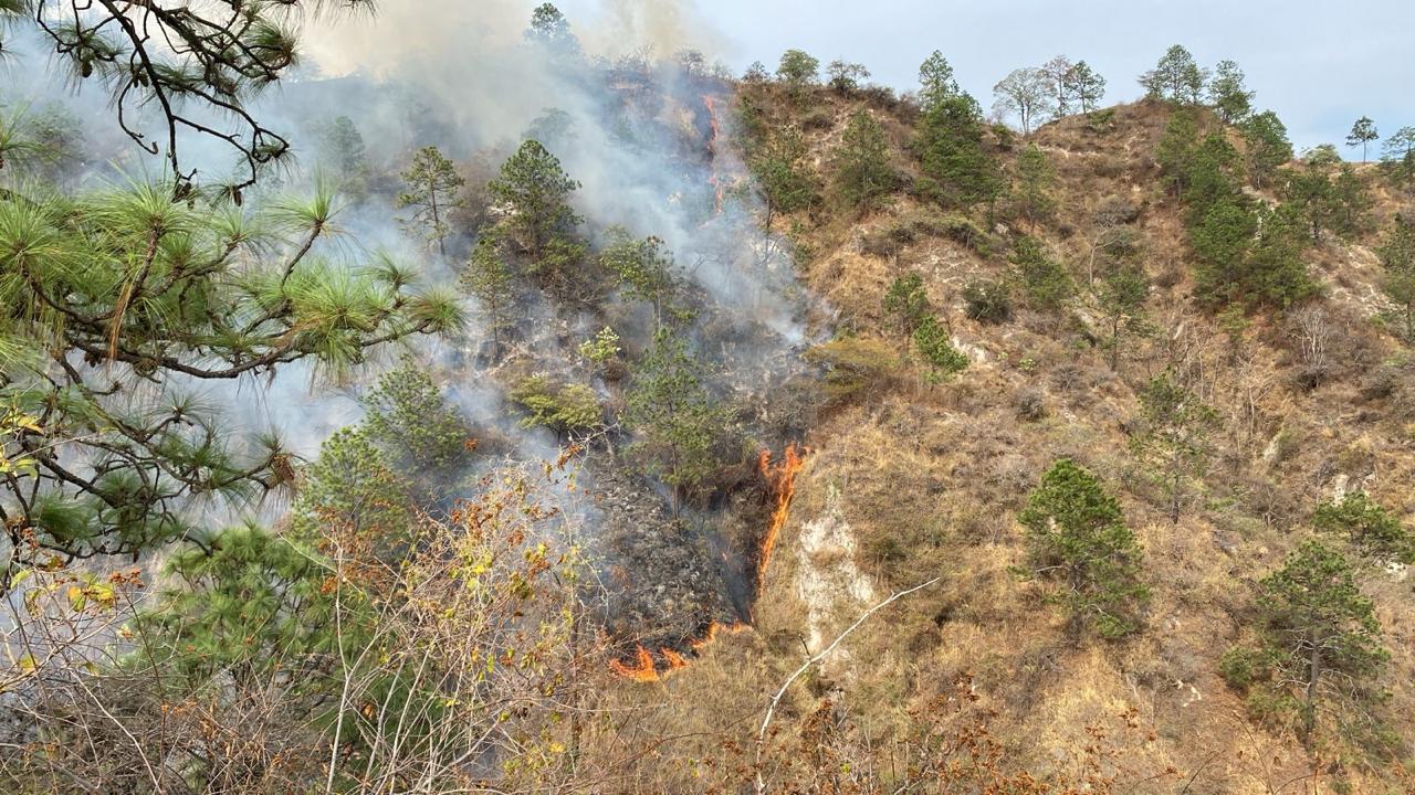 Incendio forestal en Quiché en abril 2025. / Foto: Conred.