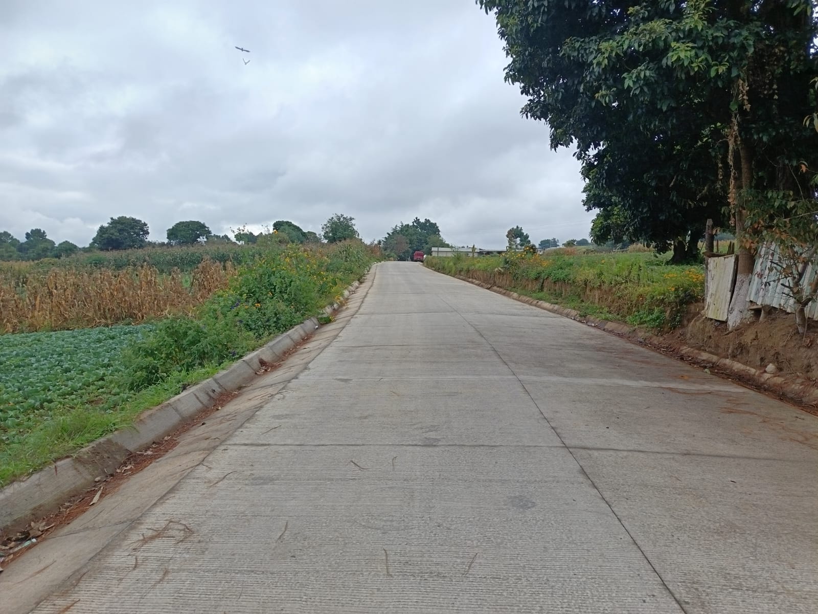 Mejoramiento de carretera en Santa Cruz Balanyá beneficia a más de 10 mil vecinos
