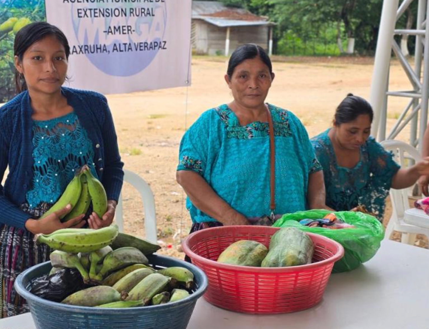 Raxruhá impulsa la economía local con Feria del Agricultor. Foto: MAGA