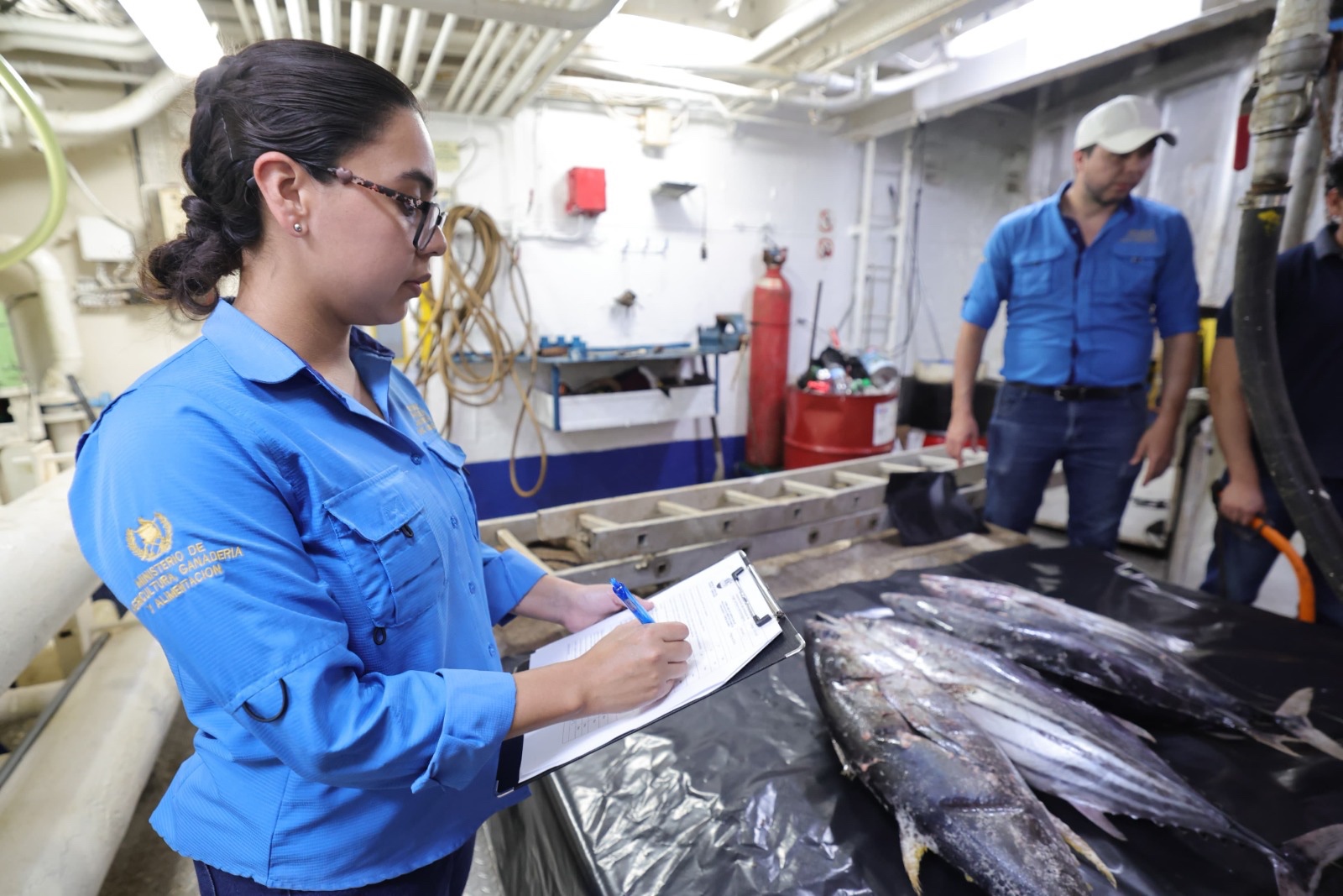 Exportaciones de pescado, atún y camarón superan los 866 millones de quetzales y fortalecen la competitividad de Guatemala