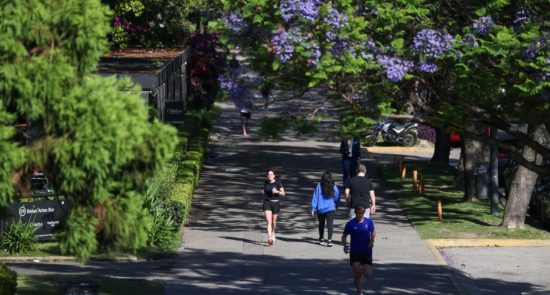 Aumentar la actividad física y reducir el sedentarismo aumentan las expectativas de vida, según estudios. /Foto: EFE
