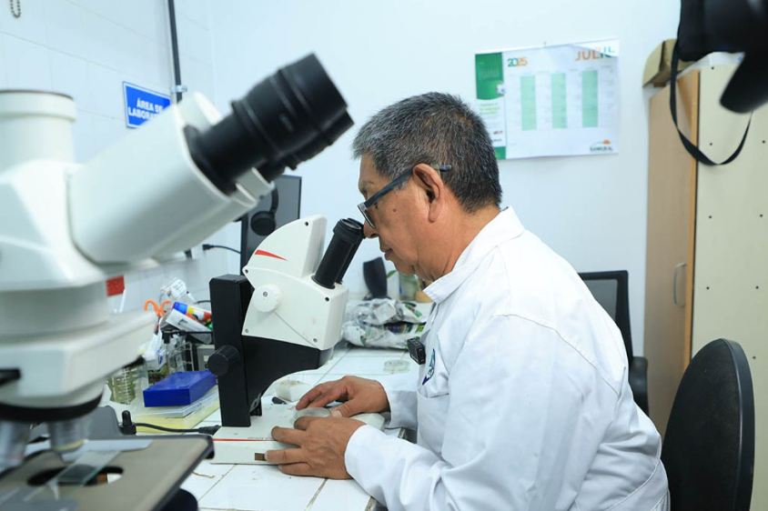 El trabajo de los laboratorios también desempeña un papel fundamental en el soporte a las importaciones y exportaciones agrícolas. / Foto: MAGA.