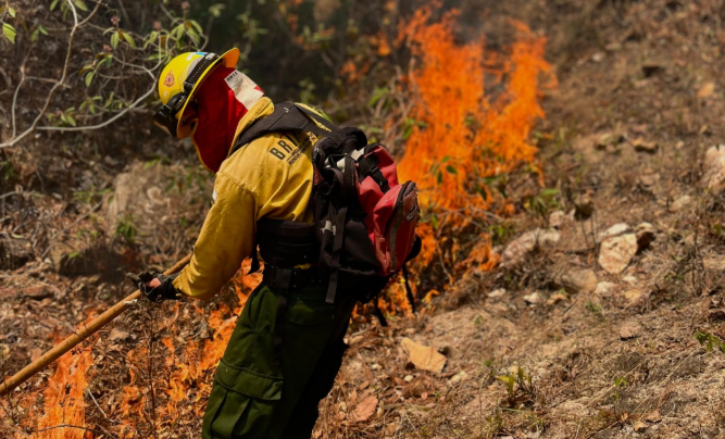 Conred lanza campaña Alto al Fuego./Foto: Conred.