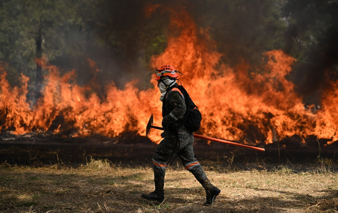 Temporada de incendios afecta hasta el momento 167 hectáreas. / Foto: Byron de la Cruz.