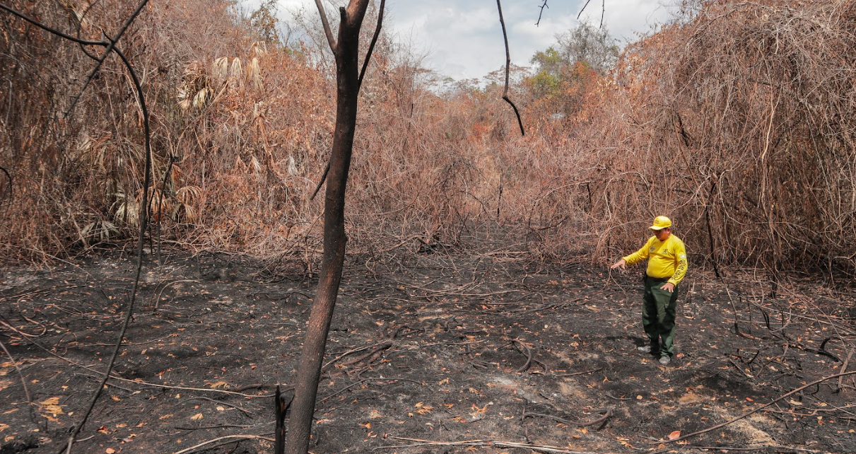 ! Conap lanza campaña nacional para prevenir incendios forestales en áreas protegidas. (Foto: Conap)