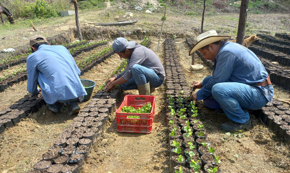 ENCA mantiene el compromiso con la formación y agricultura sostenible. (Foto: MAGA)