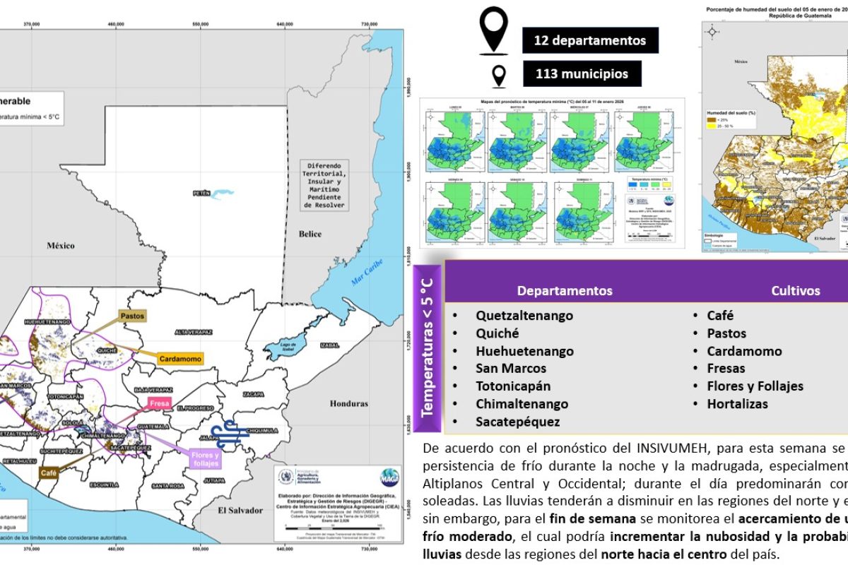 Como parte de este seguimiento, se monitorean actualmente 12 departamentos y 113 municipios, donde se ha identificado la persistencia de bajas temperaturas. / Foto: MAGA.