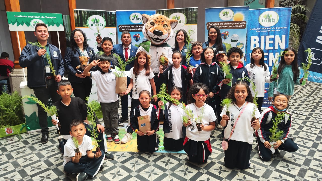 El programa Sembrando Huella permitió la plantación de más de 2 millones 900 mil árboles. (Foto: Inab)