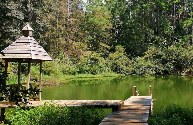 Parque Nacional Las Victorias./Foto: Tripadvisor. 