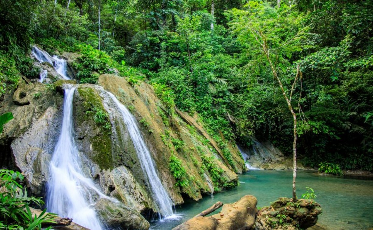 Reserva Protectora de Manantiales Cerro San Gil./Foto: SIC/MCD. 