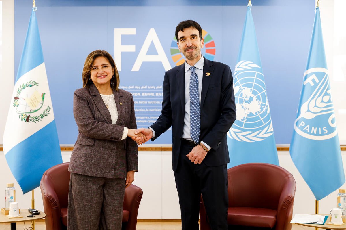 Vicepresidenta sostuvo reuniones con la FAO y directores del Programa Mundial de Alimentos. (Foto: Vicepresidencia)