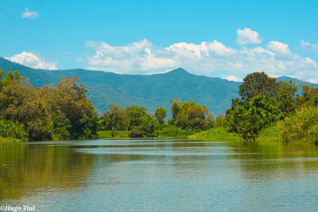 Refugio de Vida Silvestre Bocas del Polochic./Foto: CONAP. 