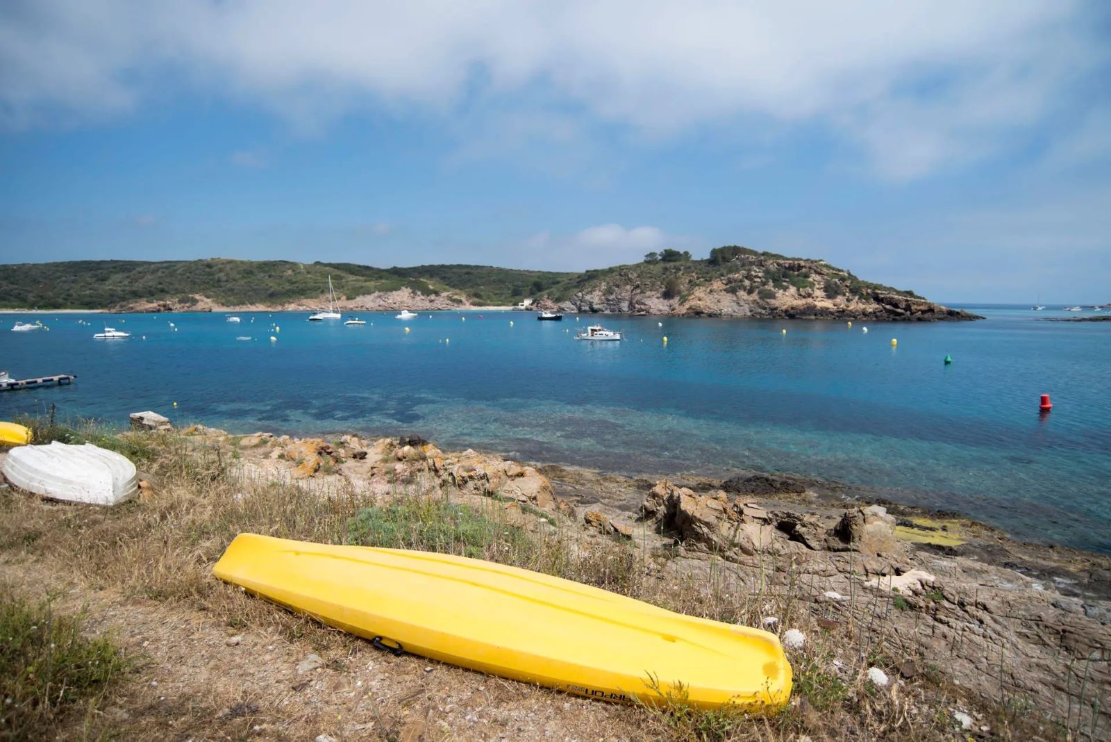 El estudio documentó el aumento de la temperatura (tropicalización) de las aguas del mar Mediterráneo.