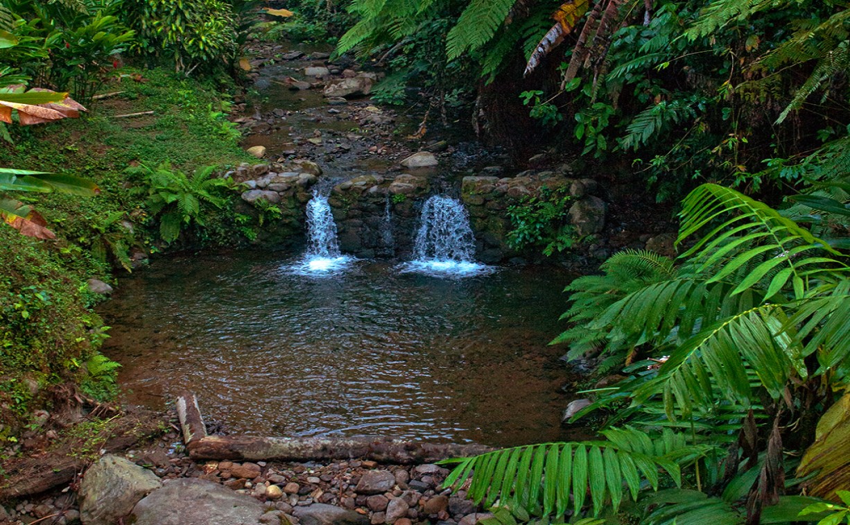 Reserva natural privada Patrocinio./Foto: SIC/MCD. 