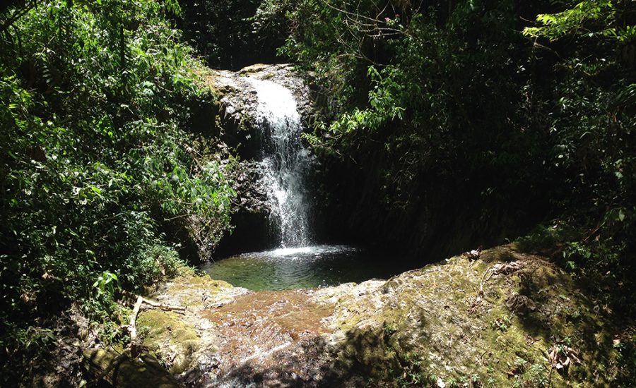 Reserva de la Biósfera Trifinio./Foto: SIC/MCD. 