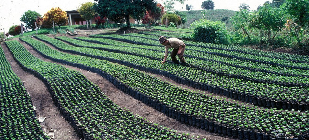 De acuerdo con el informe, se necesita el diseño de políticas públicas que permitan modernizar y tecnificar la agricultura para enfrentar los desafíos que se avecinan.