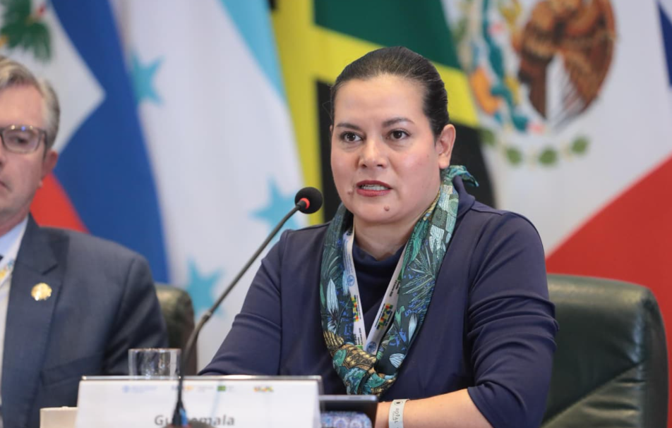 La ministra de Agricultura afirmó que en la conferencia regional de la FAO intercambió experiencias con otros países./Foto: Edgar Marra FAO.