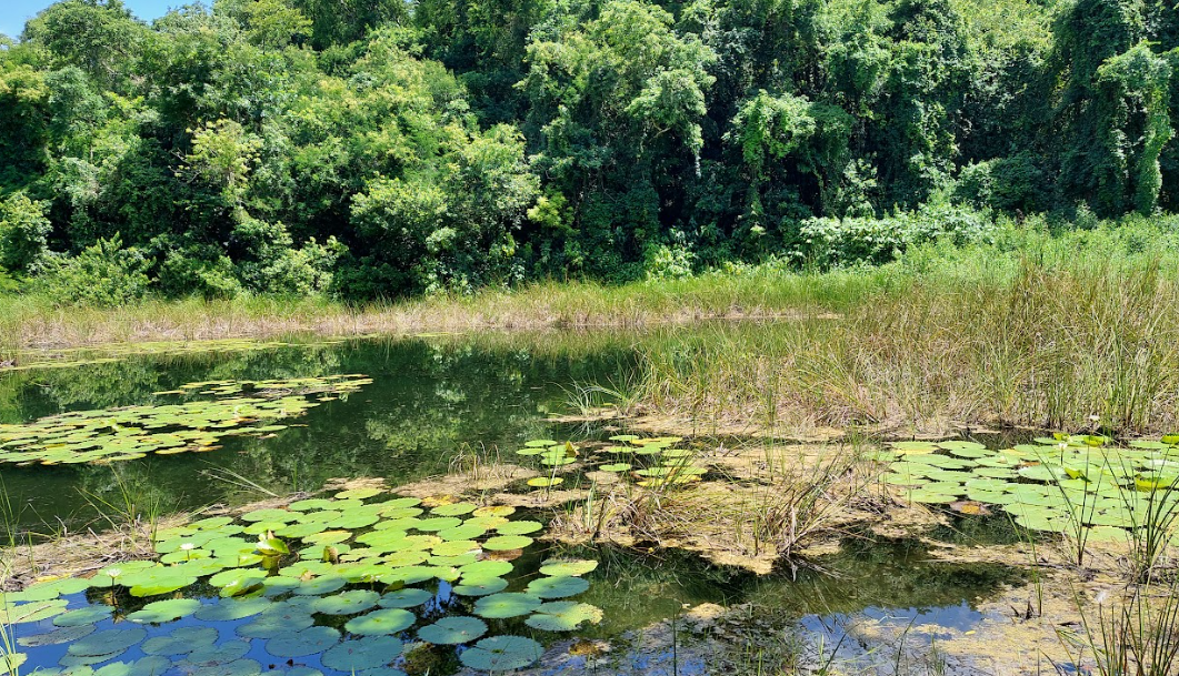 En el Día Mundial del Agua, el Conap resalta la importancia de su conservación para asegurar la vida, salud y desarrollo sostenible