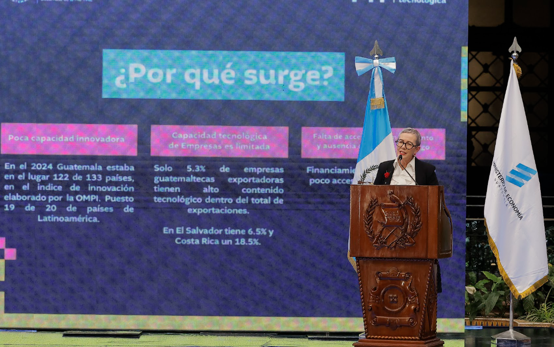 Viceministra de Desarrollo de la Micro, Pequeña y Mediana Empresa, Elizabeth Ugalde, en el lanzamiento del FIT. / Foto: Gilber García.