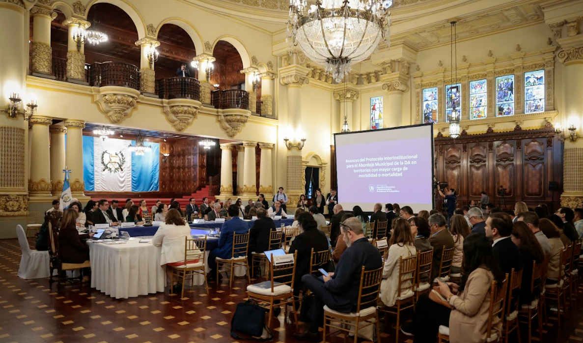 Cosan abordó avances de protocolos de atención integral a la desnutrición. (Foto: Dickens Zamora)