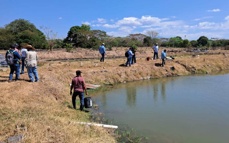 Productores zacapanecos conocen sobre producción acuícola./Foto: MAGA.