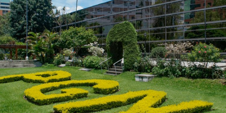 Sala ordena que más de Q361millones pasen a favor del Estado