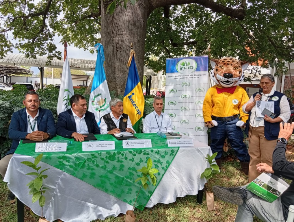 Los bosques, una oportunidad para generar desarrollo sostenible en Zacapa