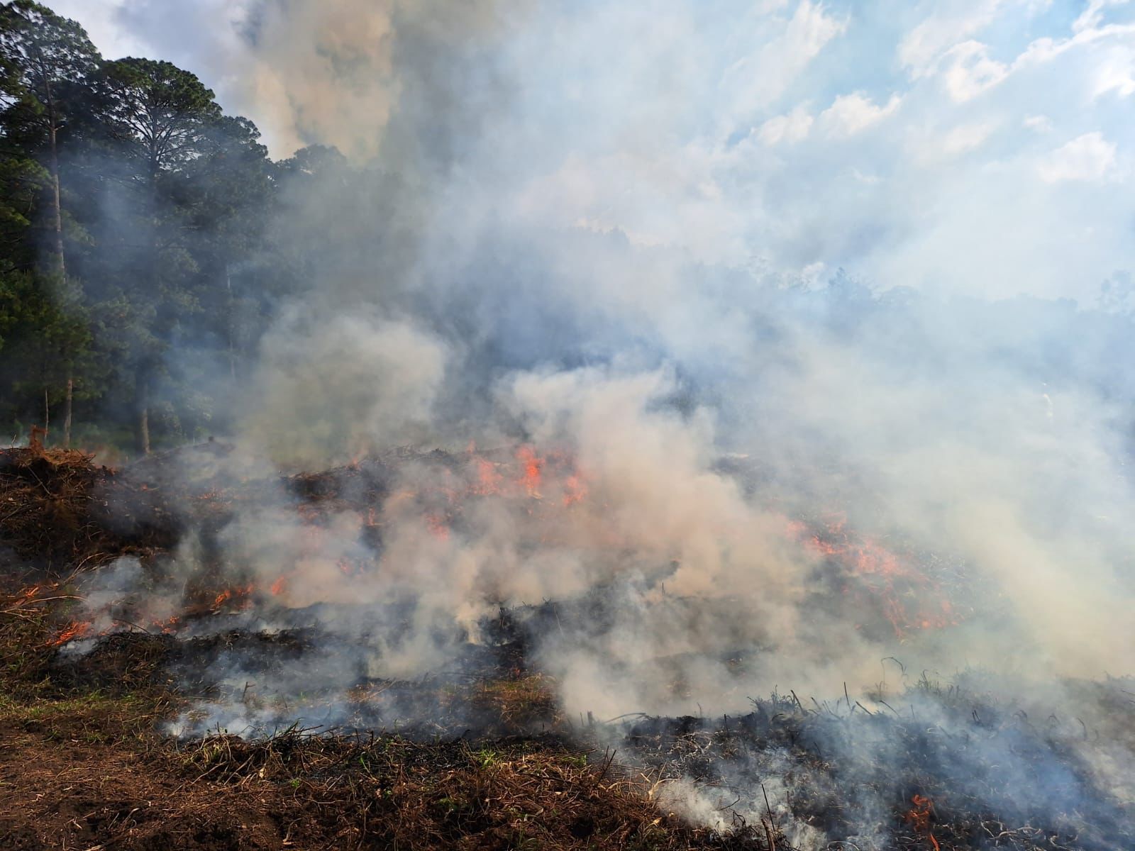 Alta Verapaz fortalece capacidades para la prevención y control de incendios forestales