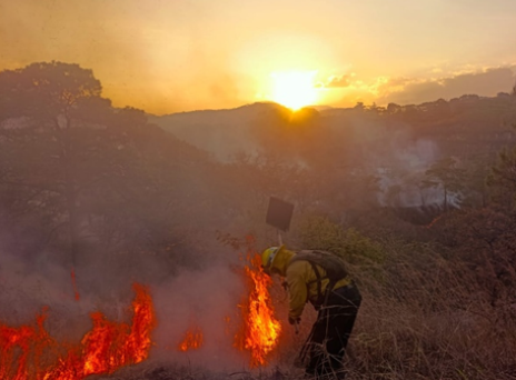 Instituciones se coordinan para combatir y prevenir incendios forestales./Foto: Conred.