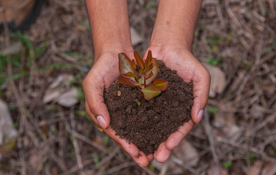 Cada 22 de abril se conmemora el Día Mundial de la Tierra. (Foto: MAGA)