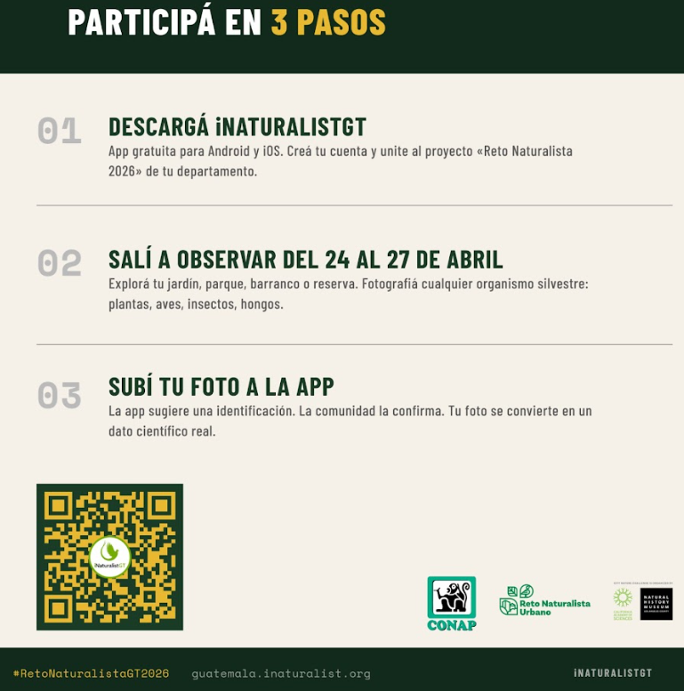 Reto Naturalista 2026 promueve la observación, registro y documentación de la biodiversidad.