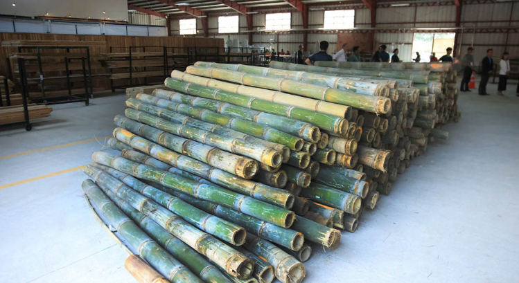 El modelo también permite a los productores aprovechar tierras disponibles, diversificar sus fuentes de ingreso- / Foto: MAGA