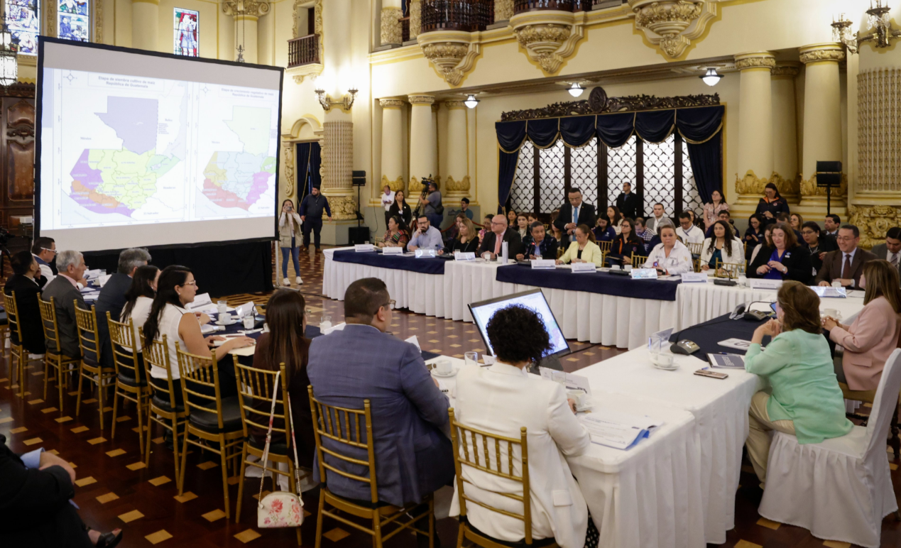 Conasan define acciones para mitigar riesgos en producción agropecuaria./Foto: Dickéns Zamora.