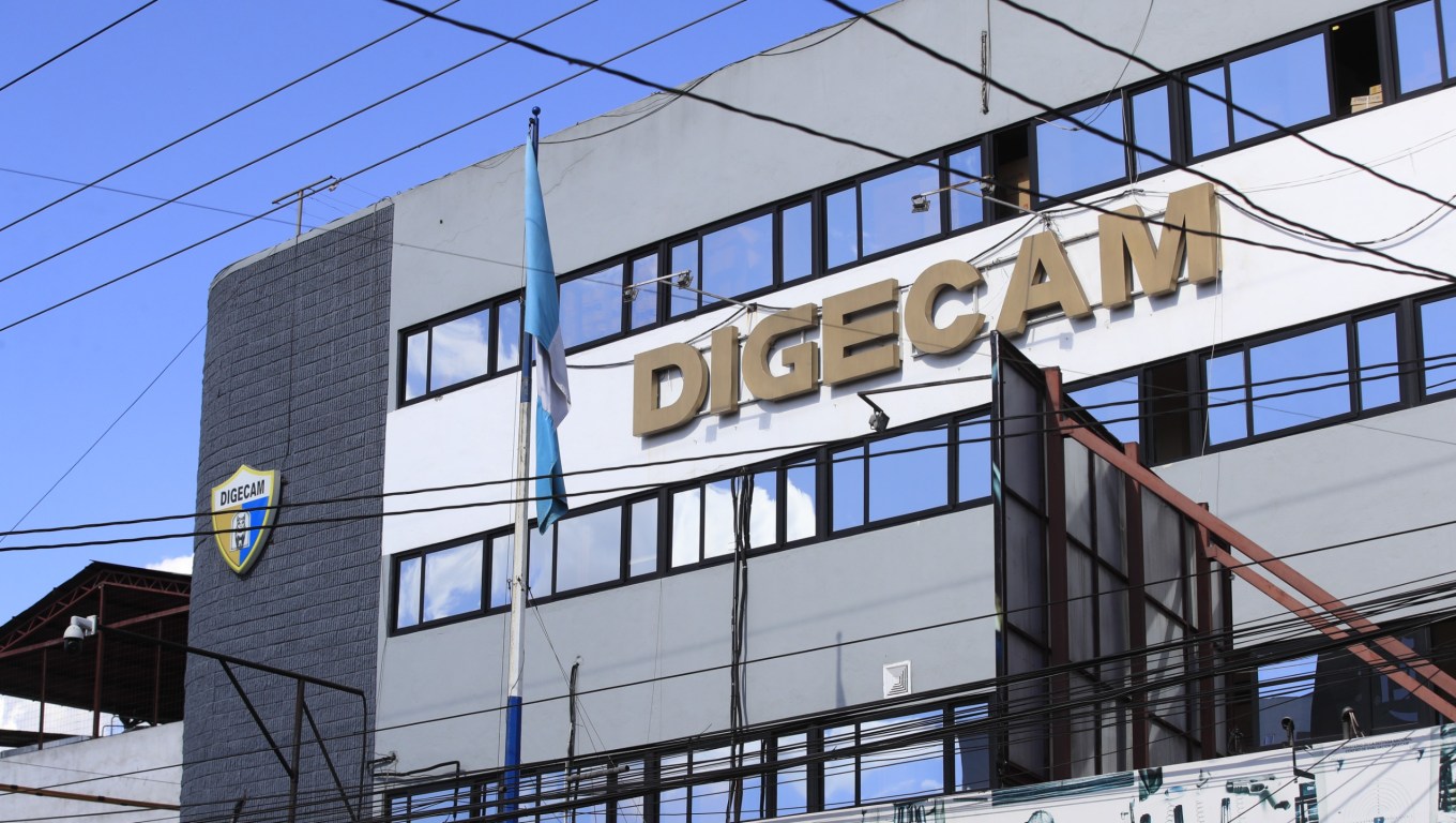 Digecam pide no presentarse sin cita: así será la reposición de licencias