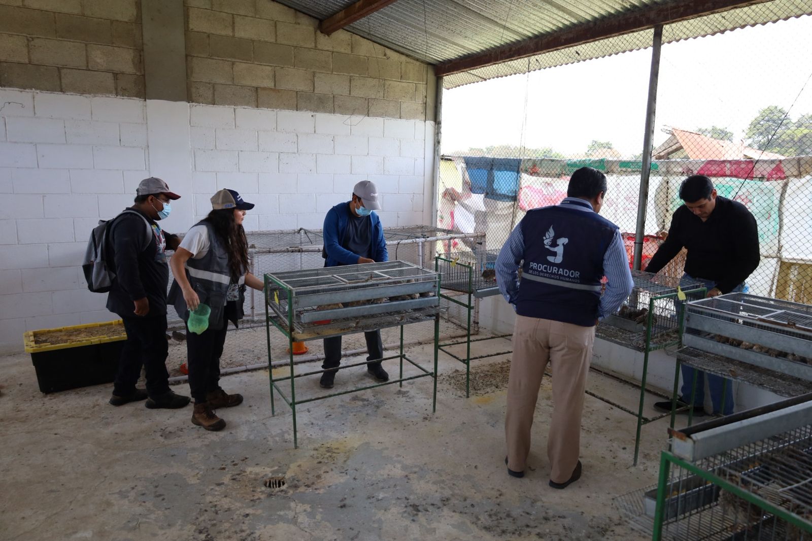 MAGA verifica estado de salud de animales del Hospital Veterinario de la Usac
