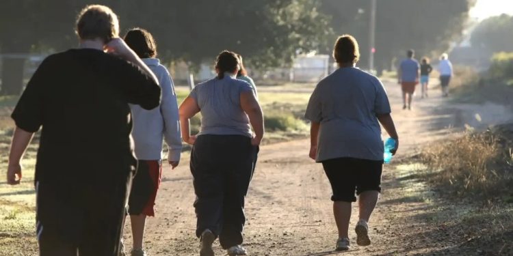 Estudio revela efectos a largo plazo de la obesidad en el sistema inmunitario.