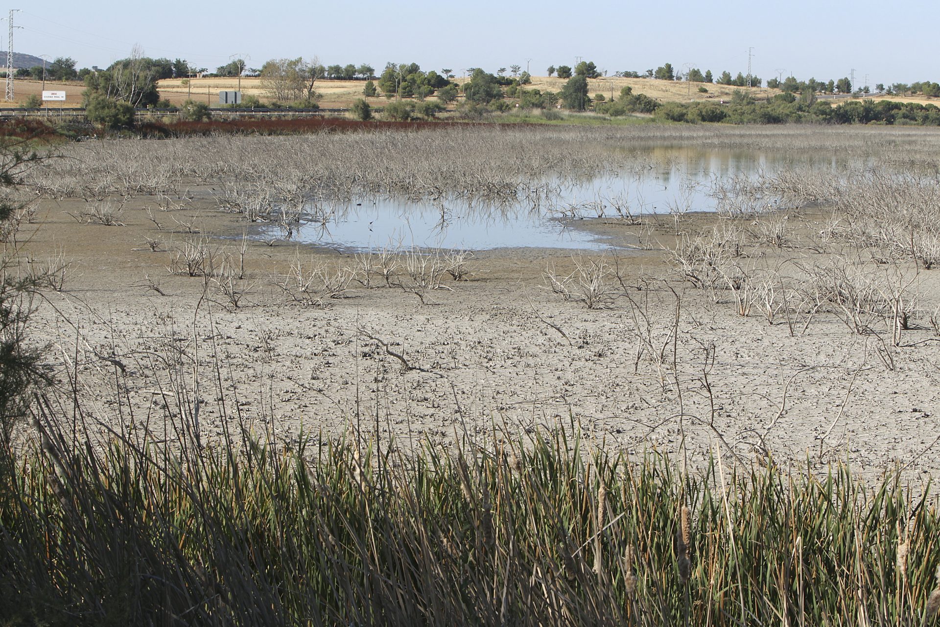 La sequía y la desertificación son cada vez más graves em diferentes regiones del planeta.